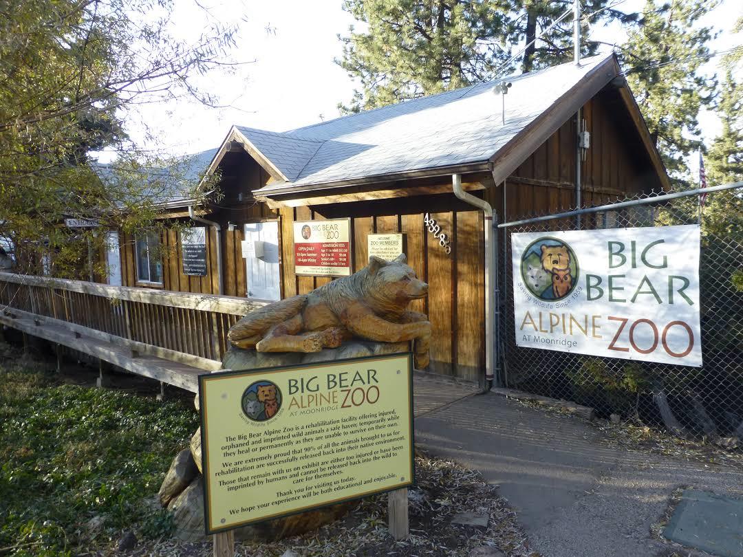 Big Bear Alpine Zoo